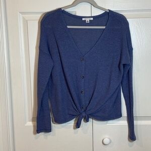 American Eagle Outfitters Blue Cardigan Sweater